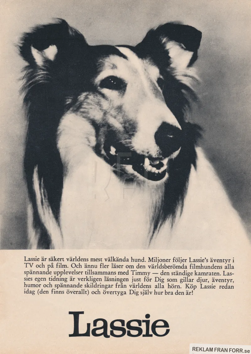 Reklam för serietidningen om hunden Lassie, där man får se collien Lassie på en stor bild i annonsen