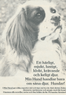 Reklam för serietidningen Min Hund med ett foto på en cockerspaniel i svartvitt